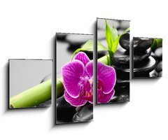 Obraz 4D tydln - 100 x 60 cm F_IS56279364 - orchid