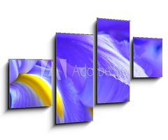 Obraz 4D tydln - 100 x 60 cm F_IS563234 - irises