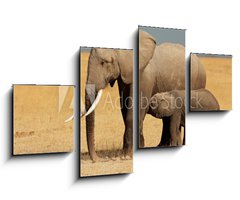 Obraz 4D tydln - 100 x 60 cm F_IS57159640 - African elephant with calf, Amboseli National Park