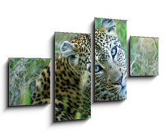 Obraz 4D tydln - 100 x 60 cm F_IS5752327 - Leopard