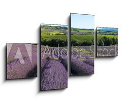 Obraz   panoramique  Champ de lavande en Provence, 100 x 60 cm