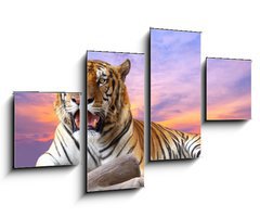 Obraz   Tiger looking something on the rock with beautiful sky at sunset, 100 x 60 cm