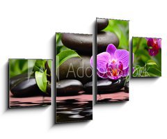 Obraz 4D tydln - 100 x 60 cm F_IS58101039 - orchid - orchidej