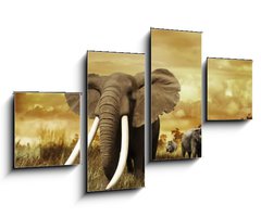 Obraz   Elephants At Sunset, 100 x 60 cm