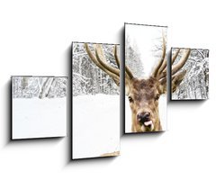 Obraz 4D tydln - 100 x 60 cm F_IS58977181 - Deer with beautiful big horns on a winter country road