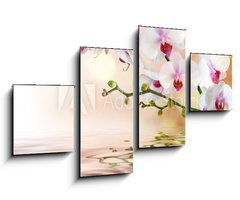 Obraz 4D tydln - 100 x 60 cm F_IS59169031 - white orchids on water with drop - bl orchideje na vod s poklesem