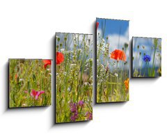 Obraz   Colorful wildflowers, 100 x 60 cm