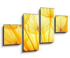 Obraz   Dandelion, 100 x 60 cm