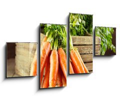 Obraz   fresh carrots, 100 x 60 cm