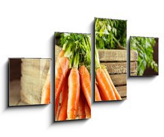 Obraz 4D tydln - 100 x 60 cm F_IS59972798 - fresh carrots