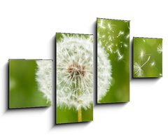 Obraz   dandelion with flying seeds, 100 x 60 cm