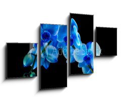 Obraz 4D tydln - 100 x 60 cm F_IS60337173 - Blue sapphire orchid