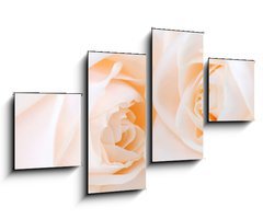 Obraz   Two delicate high key beige roses macro floral background, 100 x 60 cm