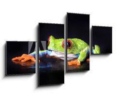Obraz 4D tydln - 100 x 60 cm F_IS6076721 - frog macro - a red-eyed tree frog isolated on black - ba makro
