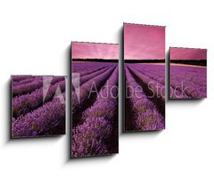 Obraz 4D tydln - 100 x 60 cm F_IS61156891 - Stunning lavender field landscape at sunset