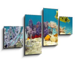 Obraz 4D tydln - 100 x 60 cm F_IS61200076 - Colorful underwater marine life seabed