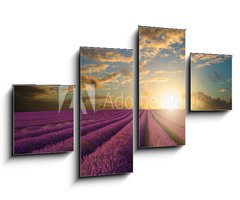 Obraz 4D tydln - 100 x 60 cm F_IS61346445 - Vibrant Summer sunset over lavender field landscape - Vibrantn letn zpad slunce nad levandule krajiny