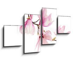 Obraz   Pink spring magnolia flowers branch, 100 x 60 cm