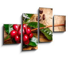 Obraz 4D tydln - 100 x 60 cm F_IS62633305 - Coffee Plant. Red coffee beans on a branch of coffee tree - Kvovar. erven kvov zrna na vtvi kvy