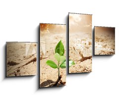 Obraz 4D tydln - 100 x 60 cm F_IS62660495 - plant in arid land - climate warming and drought  concept