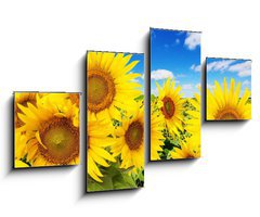 Obraz 4D tydln - 100 x 60 cm F_IS62796944 - sunflower field and blue sky with clouds