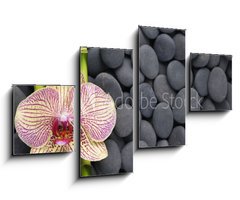 Obraz   Gorgeous orchid and thin bamboo grove on pebbles, 100 x 60 cm