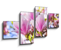 Obraz 4D tydln - 100 x 60 cm F_IS64325849 - Beautiful blossoming magnolia tree in the spring time
