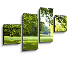 Obraz 4D tydln - 100 x 60 cm F_IS64432379 - Lush forest - Sv les
