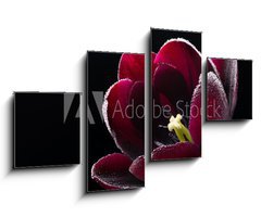 Obraz 4D tydln - 100 x 60 cm F_IS64511912 - Wet purple-black tulip.