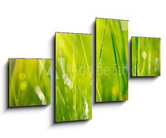 Obraz 4D tydln - 100 x 60 cm F_IS64529085 - Fresh green grass with dew drops closeup. Soft Focus