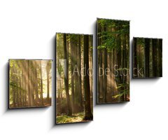 Obraz   autumn forest trees. nature green wood sunlight backgrounds., 100 x 60 cm