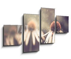 Obraz 4D tydln - 100 x 60 cm F_IS64765134 - summer flower under rain