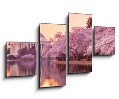 Obraz 4D tydln - 100 x 60 cm F_IS64932334 - the Jefferson Memorial during the Cherry Blossom Festival