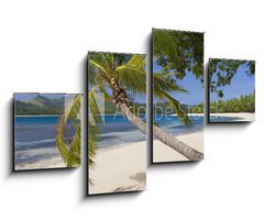 Obraz 4D tydln - 100 x 60 cm F_IS65416367 - Tropical Paradise - Fiji - South Pacific Ocean - Tropick rj