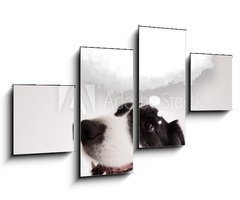 Obraz 4D tydln - 100 x 60 cm F_IS66240953 - Cute dog with empty cloud bubble