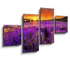 Obraz 4D tydln - 100 x 60 cm F_IS66255723 - Lavender