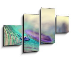 Obraz 4D tydln - 100 x 60 cm F_IS67250571 - Peacock feather and drop - Pvov pe a pdu