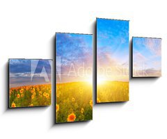 Obraz 4D tydln - 100 x 60 cm F_IS67337702 - Morning sunflower field