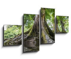 Obraz   big old tree and a river, 100 x 60 cm
