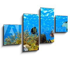 Obraz 4D tydln - 100 x 60 cm F_IS68530036 - underwater panorama of a tropical reef in the caribbean