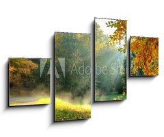 Obraz   Beautiful autumn tree with fallen dry leaves, 100 x 60 cm