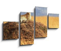 Obraz   Cheetah on the Masai Mara in Africa, 100 x 60 cm