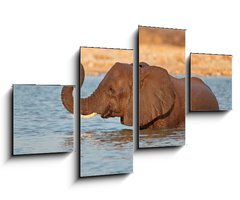 Obraz 4D tydln - 100 x 60 cm F_IS70143412 - Elephant in water, Etosha National Park