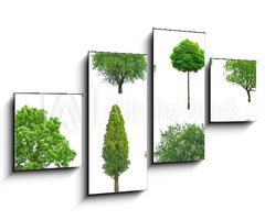 Obraz 4D tydln - 100 x 60 cm F_IS70577212 - tree