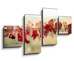 Obraz 4D tydln - 100 x 60 cm F_IS70603300 - Foglie di vite in autunno - Foglie di vite v autunn