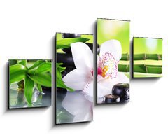 Obraz   Spa stones, bamboo branches and white orchid, 100 x 60 cm