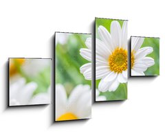Obraz 4D tydln - 100 x 60 cm F_IS71635240 - naure power