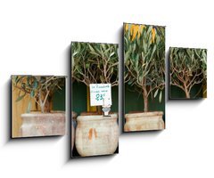 Obraz 4D tydln - 100 x 60 cm F_IS73385366 - Olive trees bonsai
