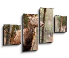 Obraz 4D tydln - 100 x 60 cm F_IS74349830 - Red deer stag in autumn fall forest