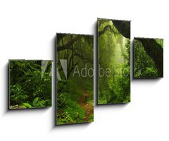 Obraz 4D tydln - 100 x 60 cm F_IS74532471 - Selva Nepal